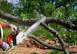 Best Utility Line Clearance  in Honesdale, PA